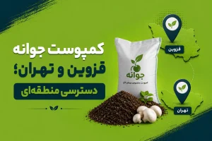 قزوین و تهران