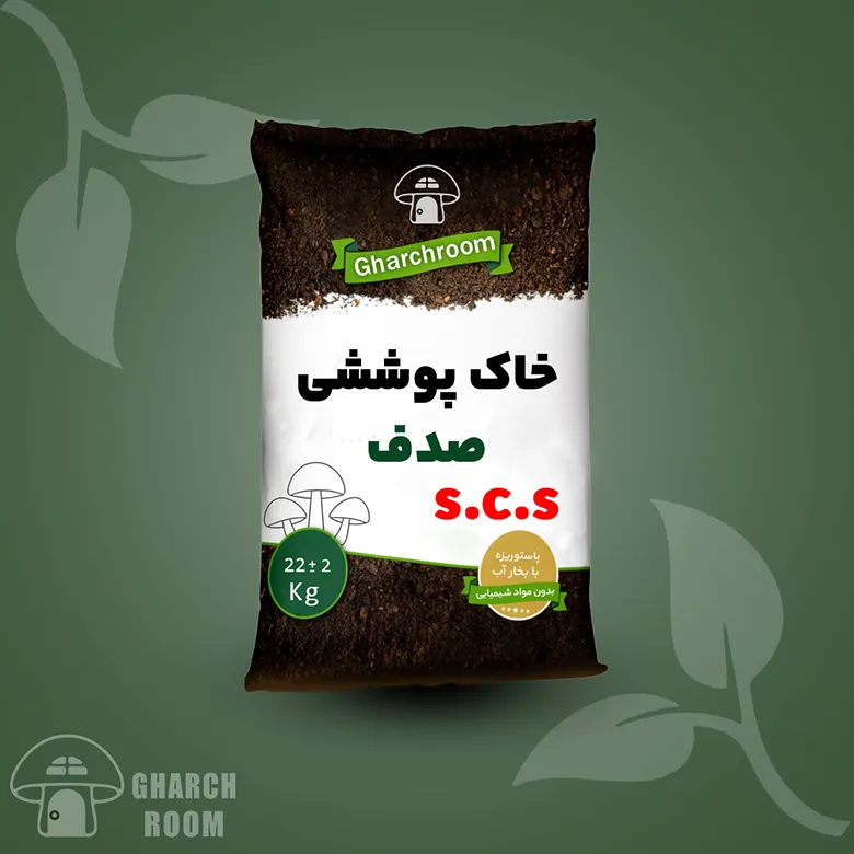 کارخانه خاک صدف