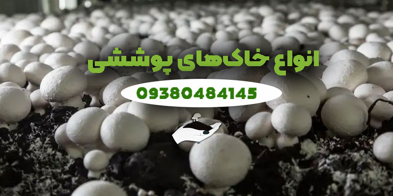 بهترین-خاک-پوششی
