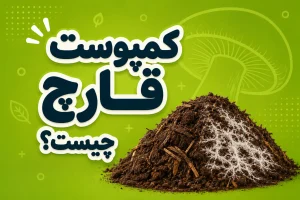 کمپوست قارچ چیست ؟