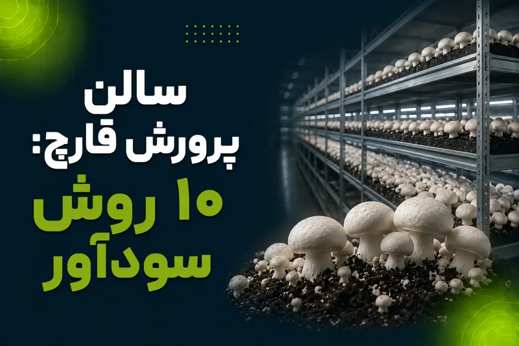 سالن پرورش قارچ: 10 روش سودآور