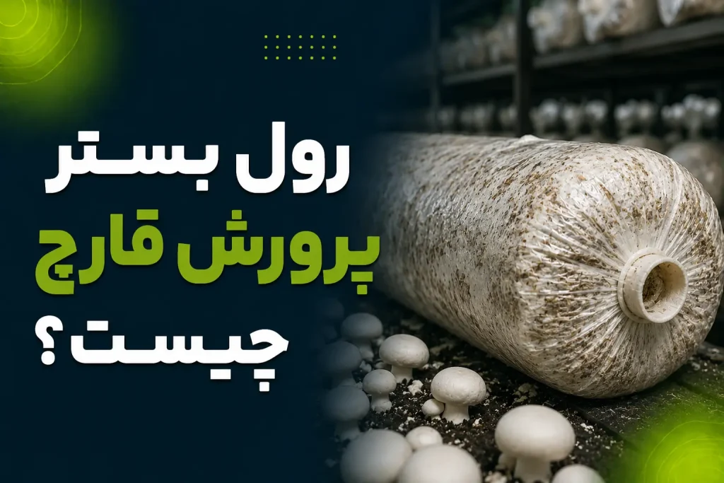 رول بستر پرورش قارچ چیست؟