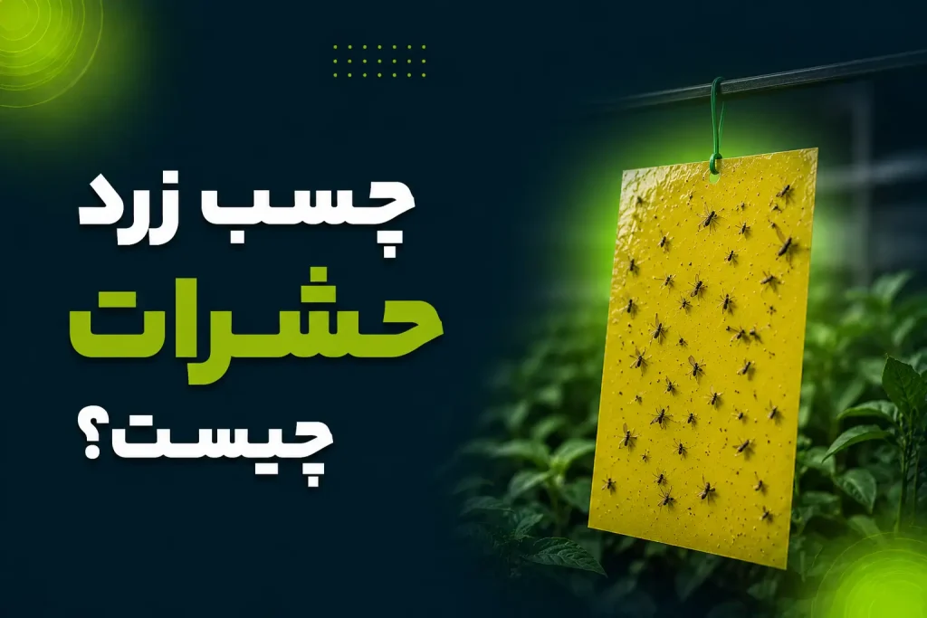 چسب زرد حشرات