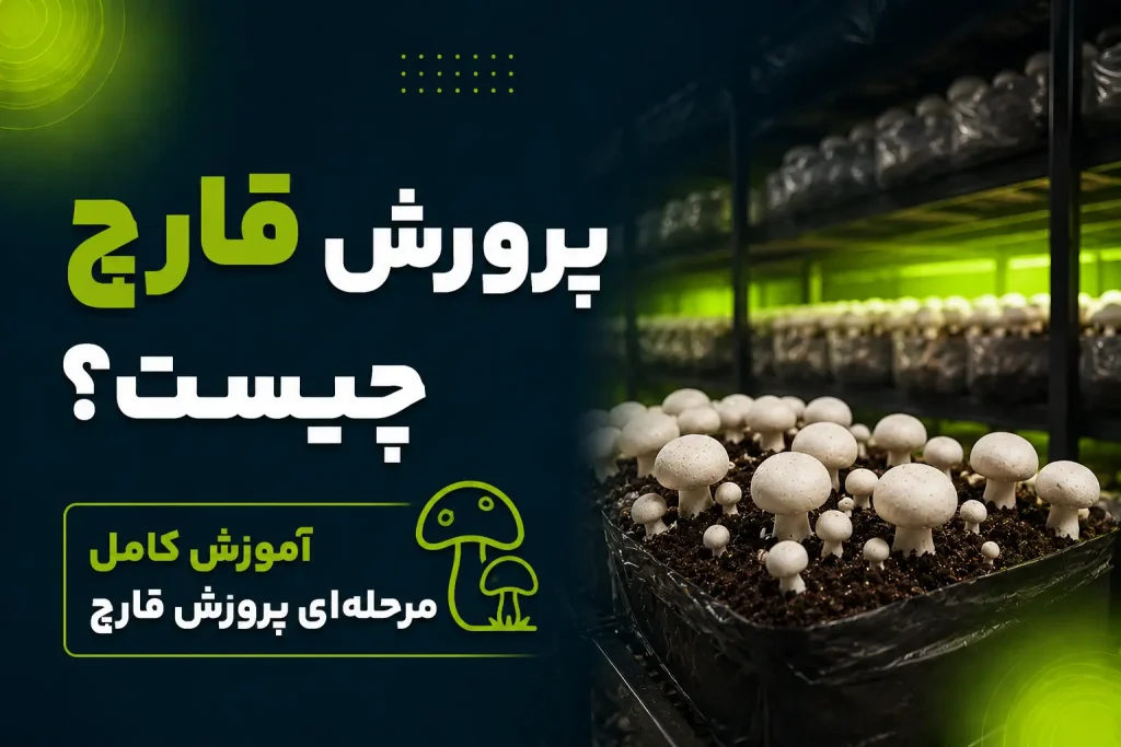 پرورش قارچ چیست
