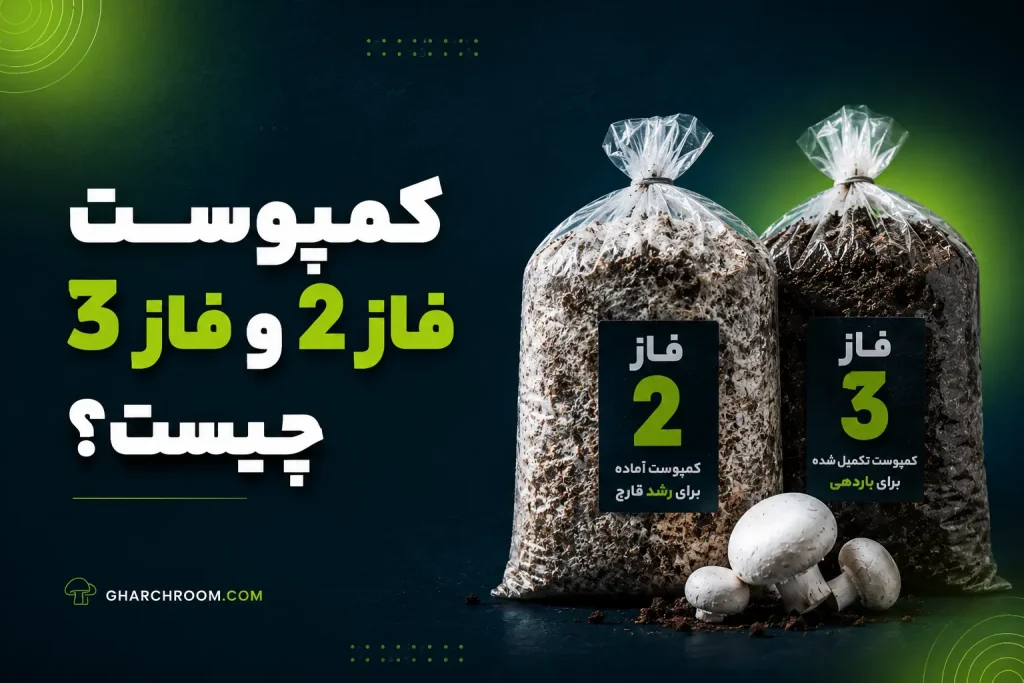 کمپوست تفاوت فاز 2 و 3 چیست
