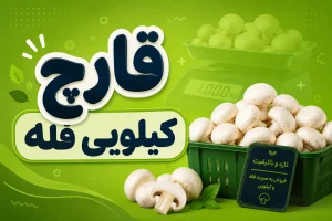 قیمت قارچ کیلویی فله
