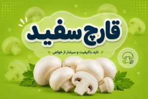 قیمت قارچ سفید
