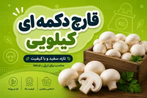 قیمت قارچ دکمه ای کیلویی