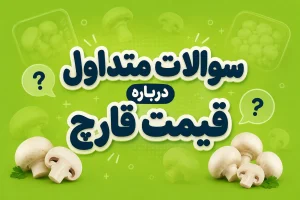 سوالات متداول